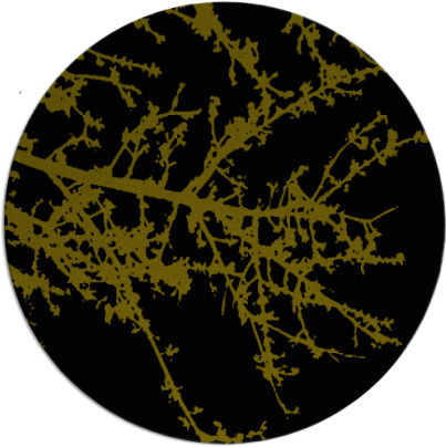 spruce rug - item 1630824