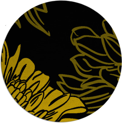 asha rug - item 1631541