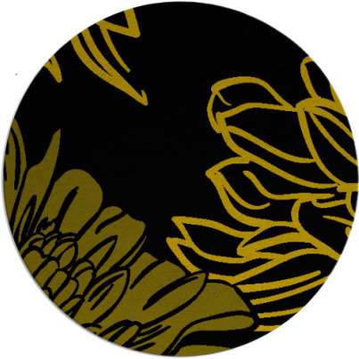 asha rug - item 1631543