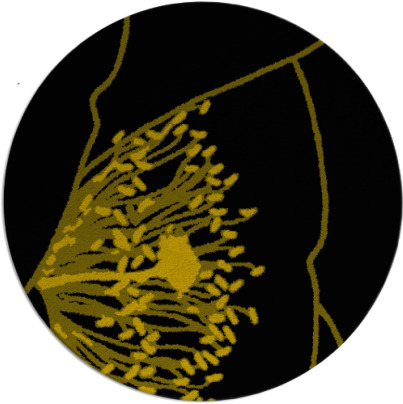 i spy rug - item 1632082