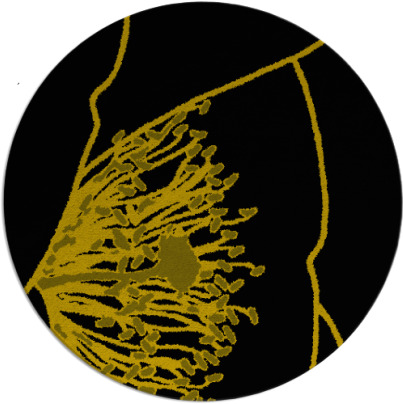 i spy rug - item 1632084