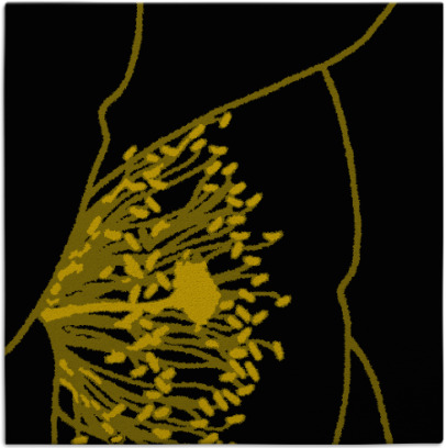 i spy rug - item 1632090