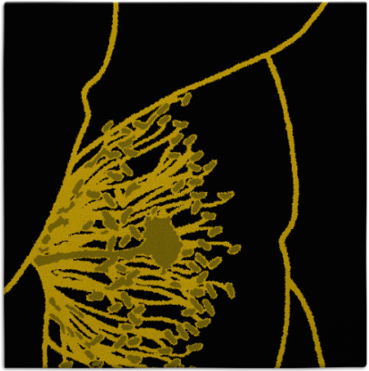 i spy rug - item 1632092