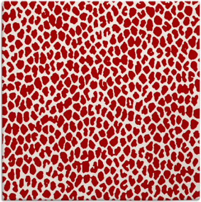 aluba rug - item 175706