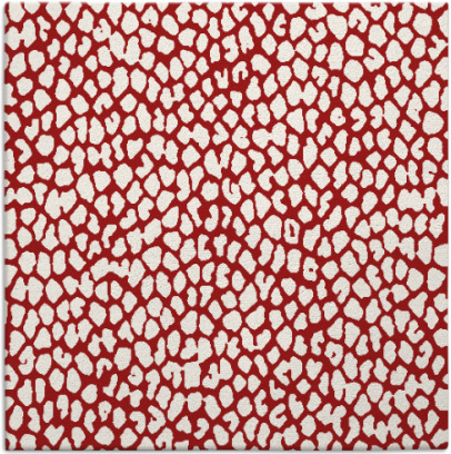 aluba rug - item 175713