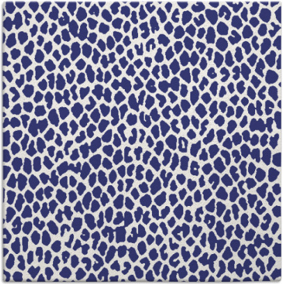 aluba rug - item 175745