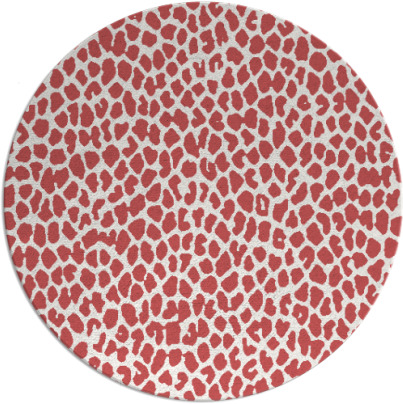 aluba rug - item 176744