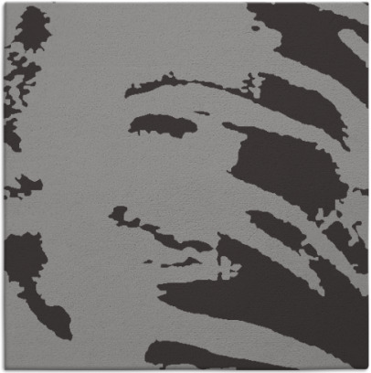 arroyo rug - item 187831