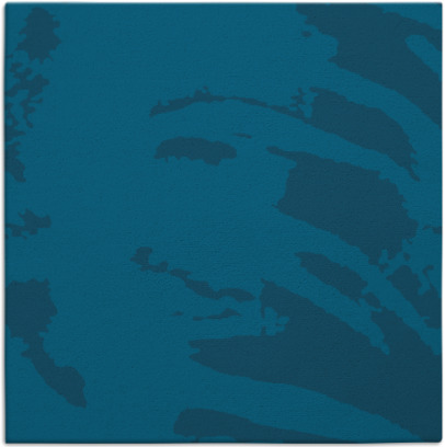 arroyo rug - item 187838