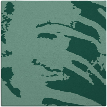 arroyo rug - item 187844