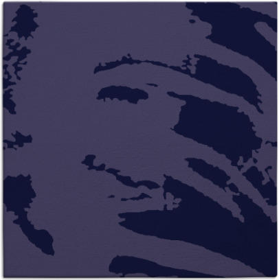 arroyo rug - item 187870