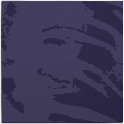 arroyo rug - item 187872