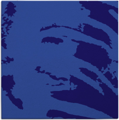 arroyo rug - item 187889