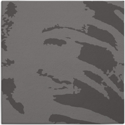 arroyo rug - item 187934