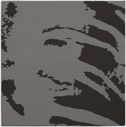 arroyo rug - item 187936