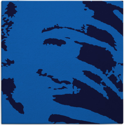 arroyo rug - item 187953