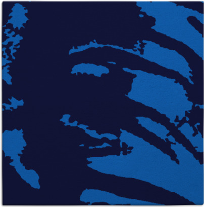 arroyo rug - item 187954