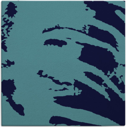 arroyo rug - item 187955