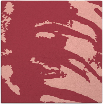 arroyo rug - item 188001