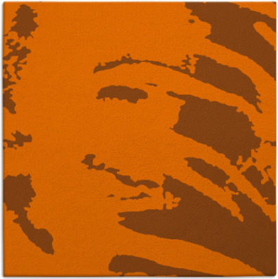 arroyo rug - item 188044