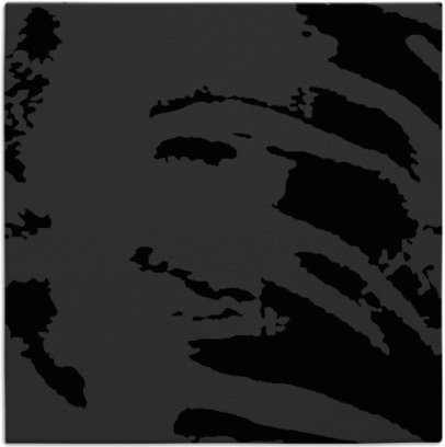 arroyo rug - item 188059