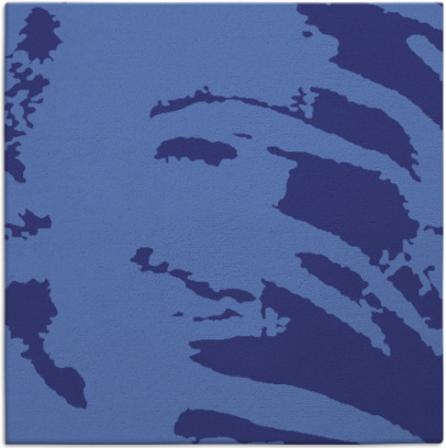 arroyo rug - item 188067