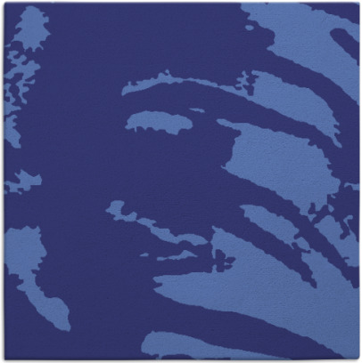 arroyo rug - item 188068