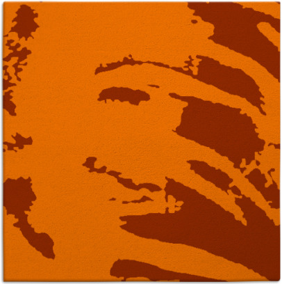 arroyo rug - item 188104