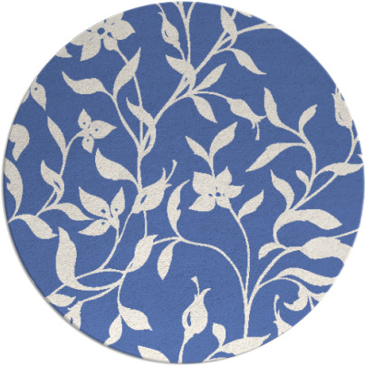 capability rug - item 214161