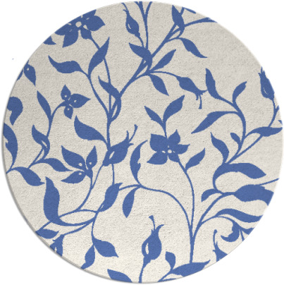 capability rug - item 214162