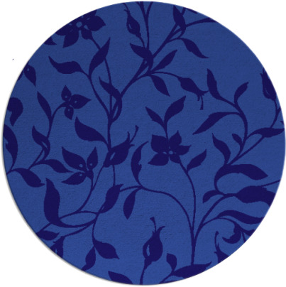 capability rug - item 214225