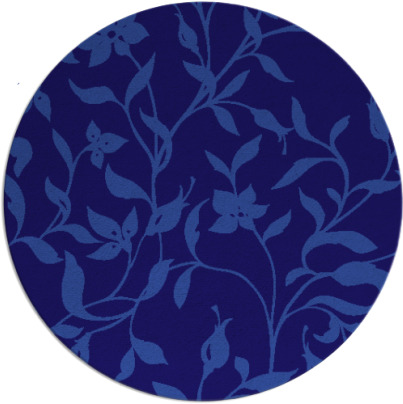 capability rug - item 214226