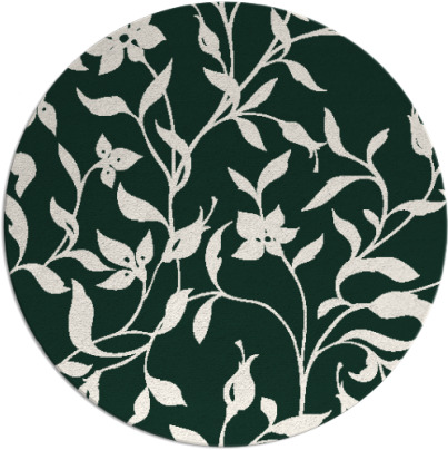 capability rug - item 214255