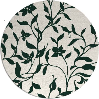 capability rug - item 214256