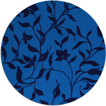 capability rug - item 214289