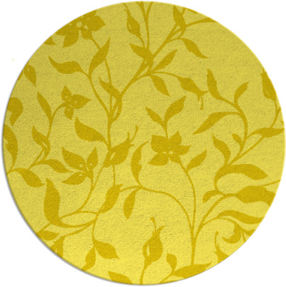 capability rug - item 214399