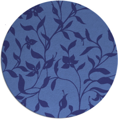 capability rug - item 214403