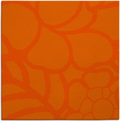 clara rug - item 222136