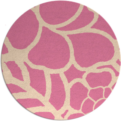 clara rug - item 222970