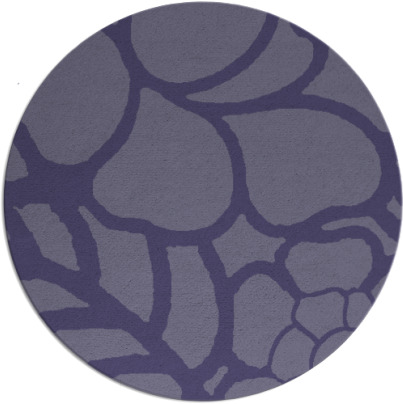 clara rug - item 223011