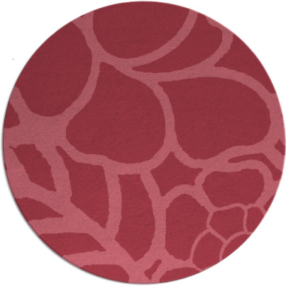 clara rug - item 223015