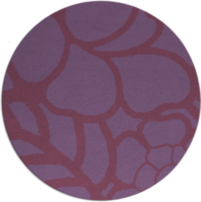 clara rug - item 223020