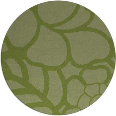 clara rug - item 223047