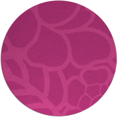 clara rug - item 223131