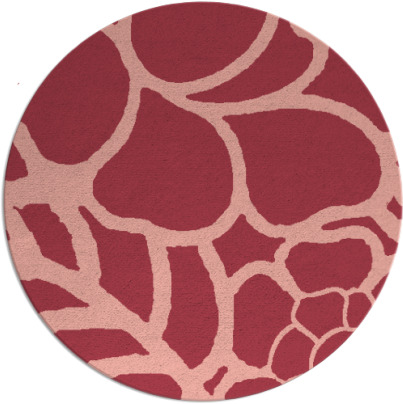clara rug - item 223137