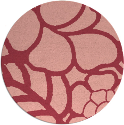 clara rug - item 223138