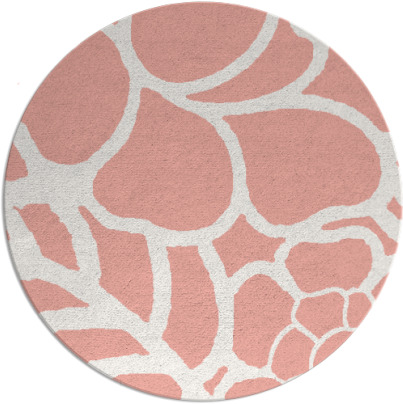 clara rug - item 223141