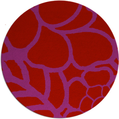 clara rug - item 223173