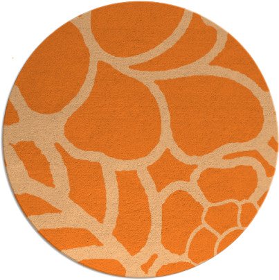 clara rug - item 223183