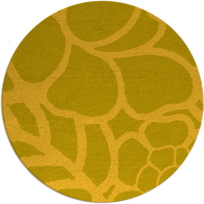 clara rug - item 223211